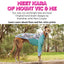 Meet Kara from Mount Vic and Me
