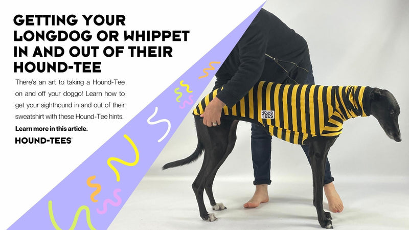 Getting your longdog or whippet in and out of their Hound-Tee