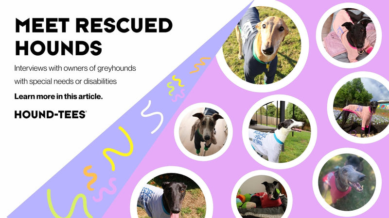 Meet rescued hounds – Interviews with owners of greyhounds with special needs or disabilities