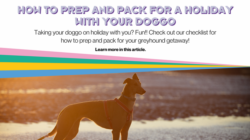 Taking your doggo on holiday with you? Fun!! Check out our checklist for how to prep and pack for your greyhound getaway!