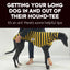 Getting your long dog in and out of their Hound-Tee