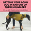 Getting your long dog in and out of their Hound-Tee