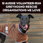 10 Volunteer-Run Organisations We Love That Support Greyhounds