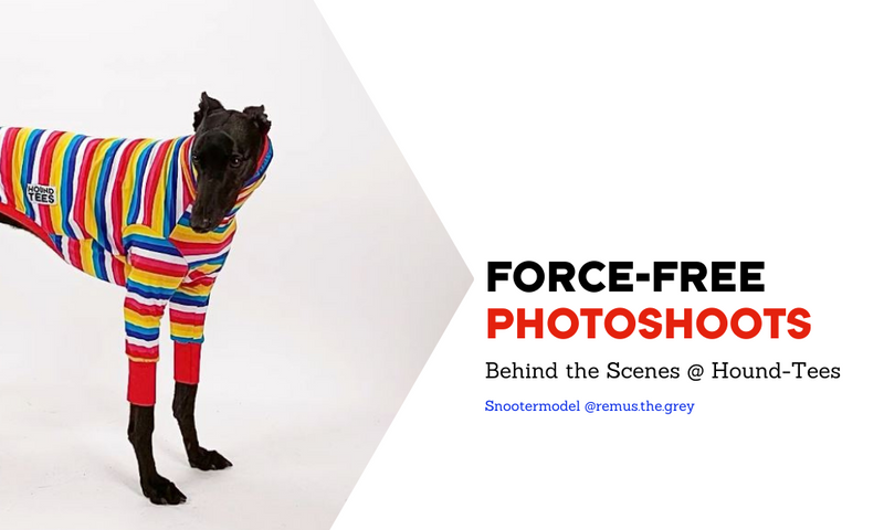BTS Force-Free Photoshoots