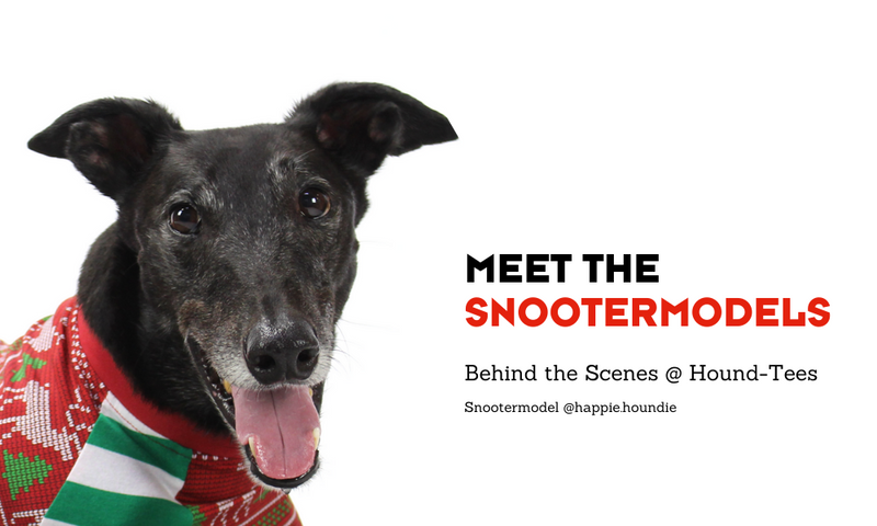 Meet the Silly Season Snootermodels