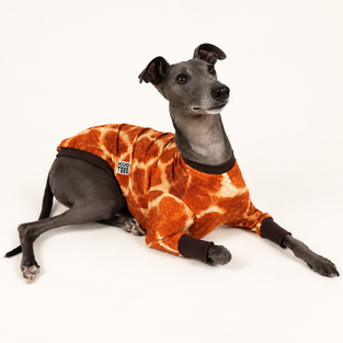 Giraffe Whippet Long Sleeve Hound-Tee
