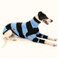 Big Fish Greyhound Long Sleeve Tweater
