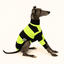 Big Lebowski Whippet Long Sleeve Tweater