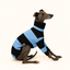 Big Fish Whippet Long Sleeve Tweater