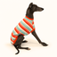 Prawn Cocktail Whippet Sleeveless Hound-Tee