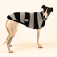 Big Cheeze Greyhound Sleeveless Tweater