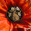 House of Hawks "Whippet in the poppies" Enamel Pin Badge