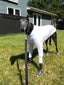 Made to Order: UV Sun Suit ALL BREEDS