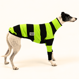 Big Lebowski Greyhound Long Sleeve Tweater