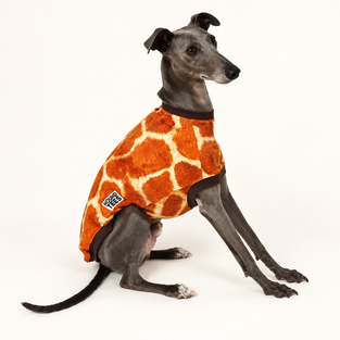 Giraffe Whippet Sleeveless Hound-Tee