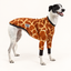Giraffe Greyhound Long Sleeve Hound-Tee