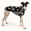 Skully Roger Greyhound Sleeveless Hound-Tee