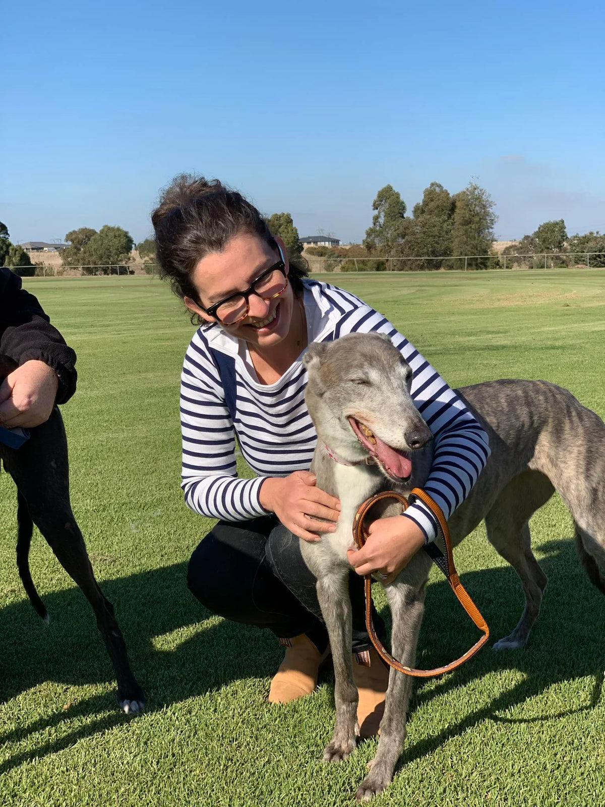 Dolly got her second chance thanks to rescue.