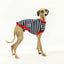 The Aussie Italian Greyhound Sleeveless Tee