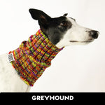 Autumn Greyhound Knit Noodle