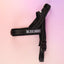 Black - Ultra Comfort No-Pull Dog Harness by Big Dog Energy