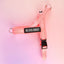 Neon Coral - Ultra Comfort No-Pull Dog Harness by Big Dog Energy