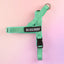 Turquoise - Ultra Comfort No-Pull Dog Harness by Big Dog Energy