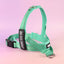 Turquoise - Ultra Comfort No-Pull Dog Harness by Big Dog Energy