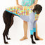 Broken Gingham Greyhound Long Sleeve Hound-Tee