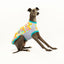 Broken Gingham Whippet Sleeveless Hound-Tee