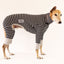 Rebel Greyhound Long Johns