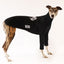 PRE-ORDER The Big Grey Film Greyhound Long Sleeve Hound-Tee