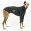 Billabong Greyhound Long Sleeve Hound-Tee