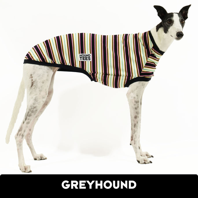 Long Sleeves – houndtees