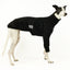 Black Berry Greyhound Sweater