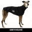 Black Berry Greyhound Sleeveless Sweater