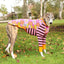 Bloom Boom Whippet Long Sleeve Tee
