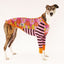 Bloom Boom Greyhound Long Sleeve Hound-Tee