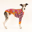 Bloom Boom Whippet Long Sleeve Tee