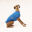 Blue Heaven Italian Greyhound Sleeveless Hound-Tee