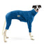 Sour Strap Greyhound Snootsuit