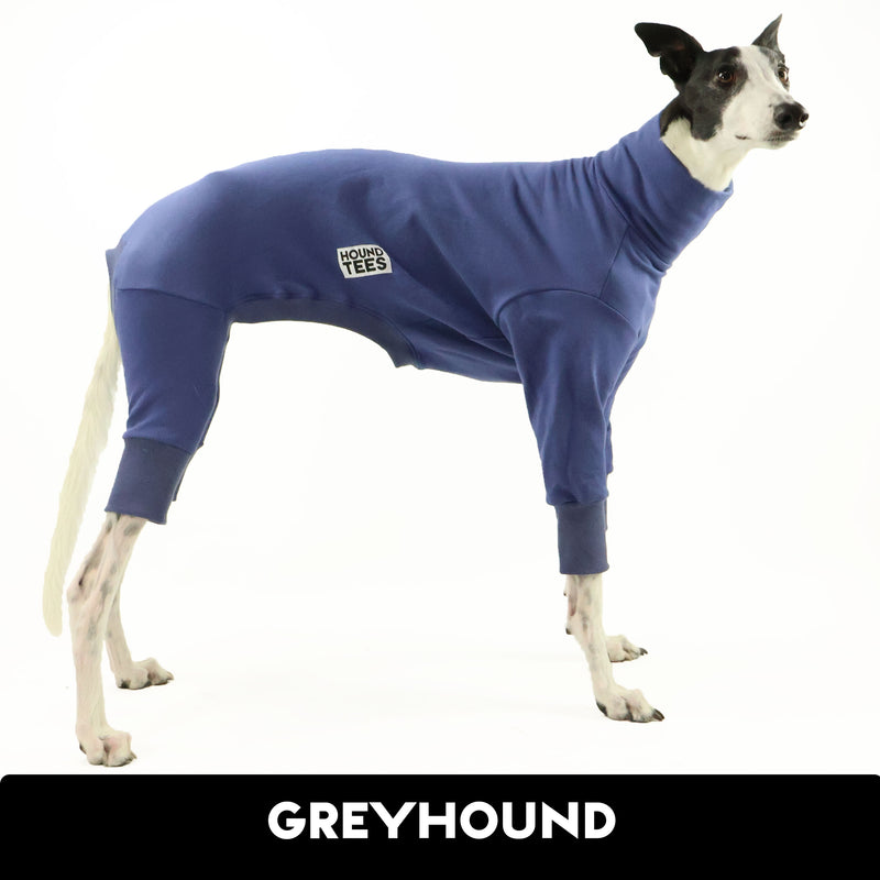 Blueberry Greyhound Snoot Suit