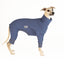 Blueberry Whippet Snoot Suit