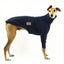 Siesta Greyhound Sweater