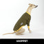 Bumble Whippet Long Sleeve Hound-Tee