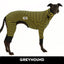 Bumble Greyhound Long Johns Hound-Tee