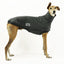 Burnt Toast Greyhound Sleeveless Sweater