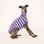 Bush Turkey Whippet Sleeveless Tweater