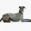 Bush Whacker Greyhound Long Sleeve Hound-Tee