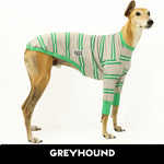 Crazy Greyhound Ladies Greyhound Long Sleeve Hound-Tee